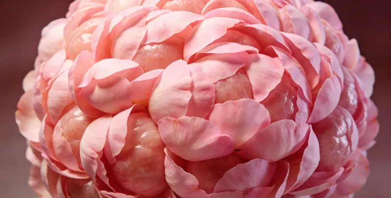 珠海BRCA1/2乳腺癌卵巢癌基因检测图片1